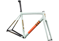 2024 S-Works Crux Frameset