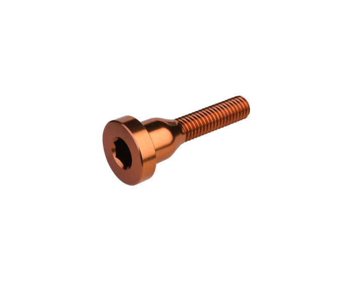 Burgtec Stem Top Cap Bolt - Kash Bronze