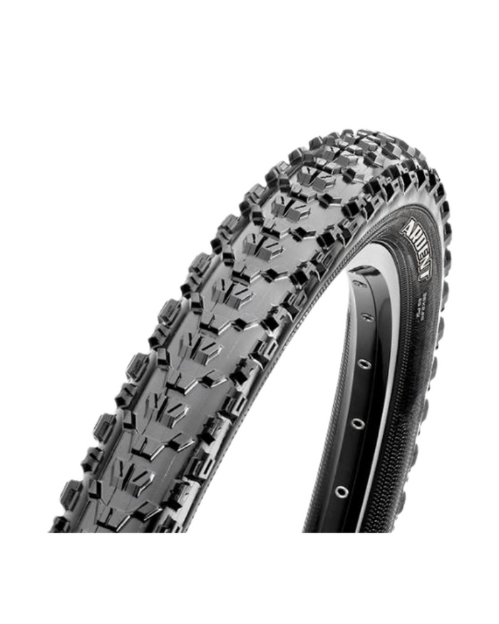 Maxxis Ardent 60tpi Exo Tubeless Ready